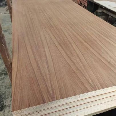 Natural parota veneer plywood 15mm and 18mm Tzalam Triplay
